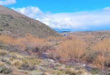 Buscan a un gendarme desaparecido en Neuquén: iba a relevar a un compañero y cayó en un arroyo
