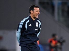 Cómo siguen las negociaciones entre la AFA y Scaloni: cuándo podría anunciarse la decisión final