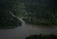 El fraile que documentó las comunidades florecientes del Amazonas antes de que desaparecieran y las crónicas descartadas de la historia
