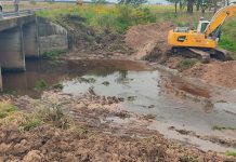 El Niño: se espera un repunte del Paraná en los próximos días por las lluvias en la cuenca alta
