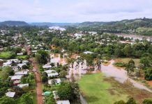 La crecida del Paraná complicó los accesos en Misiones y puso en riesgo al ganado en Corrientes: “Hay productores que están con el agua encima”