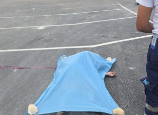 Murió un argentino en Punta Cana: un camión hizo una mala maniobra, lo hizo caer y lo arrolló