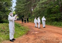 Pareja muerta a puñaladas en Misiones: la pista que lleva la investigación a 100 kilómetros de la escena del crimen
