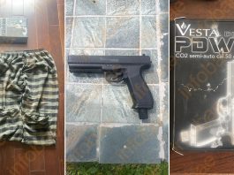 Quién es el vecino de Nordelta filmado mientras disparaba contra carpinchos y la multa millonaria que pagó