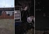Se incendió la parrilla de Berazategui que recibió más de mil currículums para 14 puestos de trabajo: “Es un golpe muy duro”