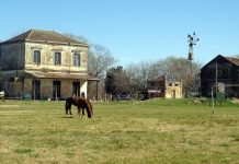 Tiene menos de 400 habitantes y recibe turistas todo el años: el pueblo rural a una hora y media de CABA ideal para visitar el feriado del 12 de octubre