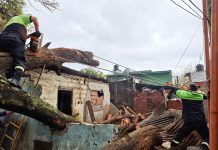 Un árbol cayó sobre una vivienda y destruyó dos casas en Rosario: una madre y sus hijos quedaron atrapados