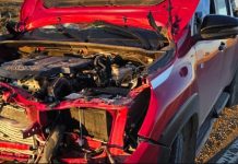Un ex gobernador de Santa Cruz chocó contra un guanaco cuando viajaba por la Ruta 3 y su auto quedó destruido