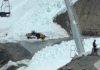 Una avalancha en el Paso Cristo Redentor obligó a volver a cerrar el cruce internacional